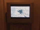video-installation wespennest